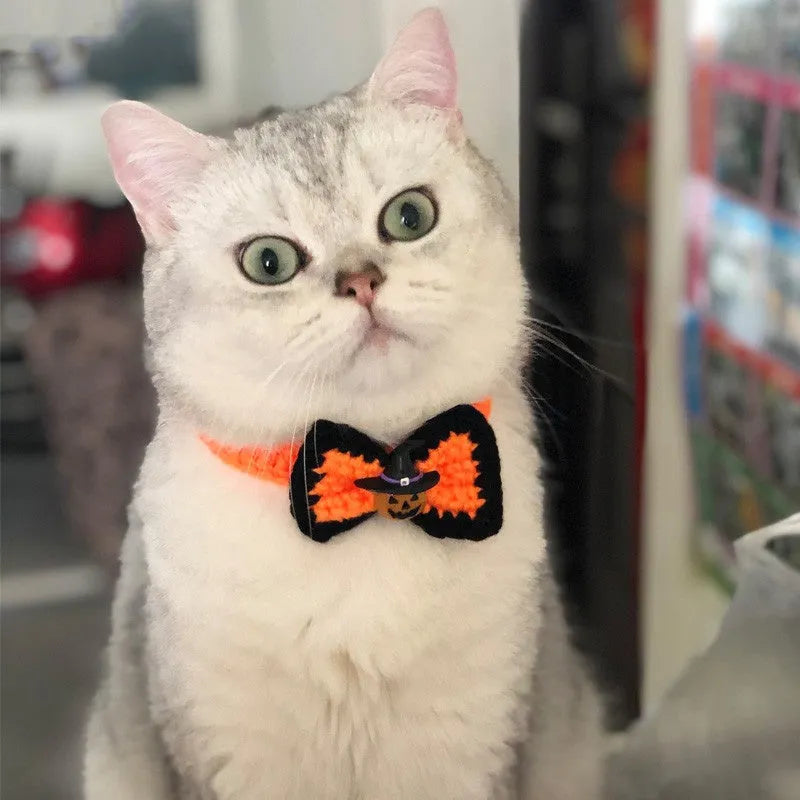 Halloween pet collar and hat set for cats, neck 15-35cm, hat inside diameter 7cm