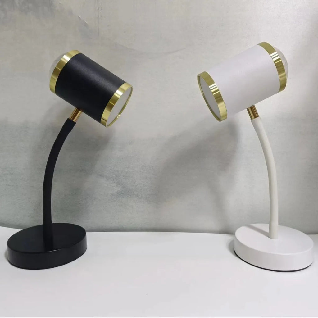 Double-headed table lamp for photography and live streaming with metal lamp holder and 220V wire switch, black or white