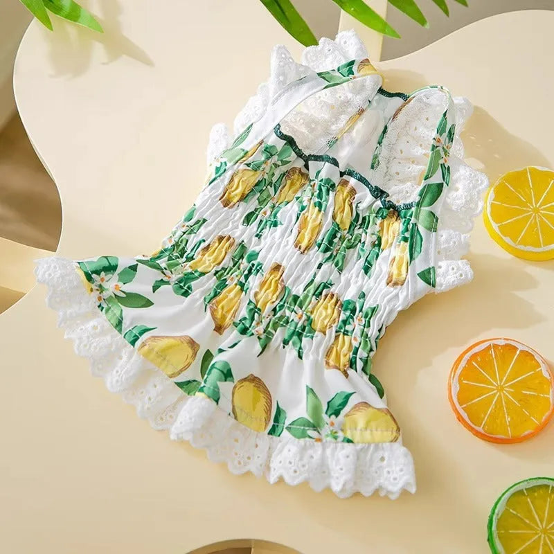 Rock yellow lemon polyester princess style dog dress with thin straps on a small dog.