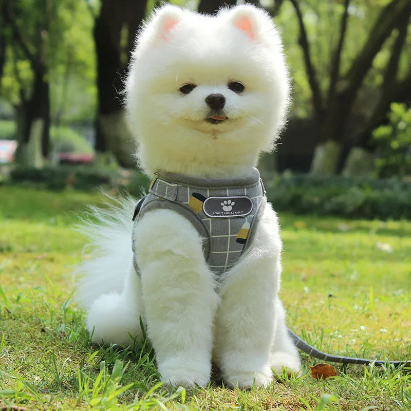 Reflective dog leash traction belt with strips made of polyester in grey colour