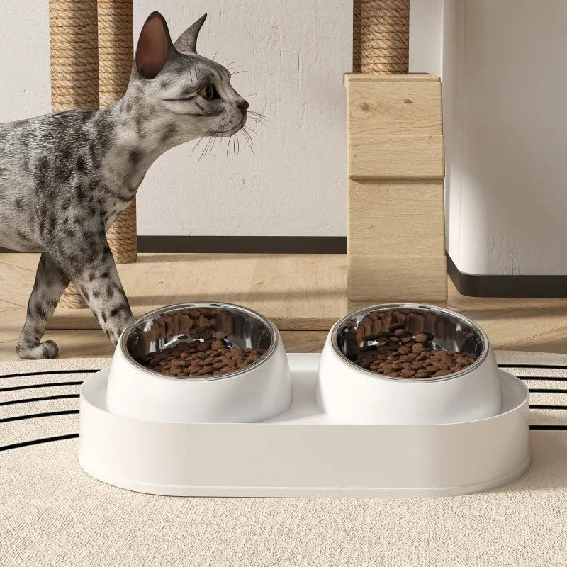 White elevated double pet food bowl with tilted design for cats and small dogs on a non-slip base.