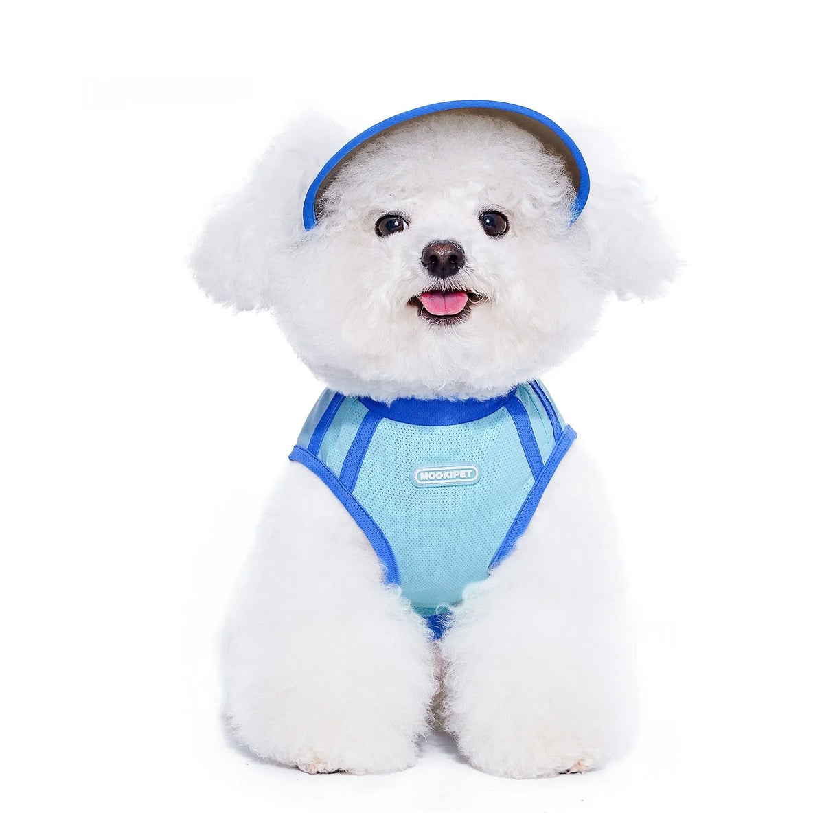 Blue 100% nylon dog hat for spring and autumn, shown in sizes S, M, and L