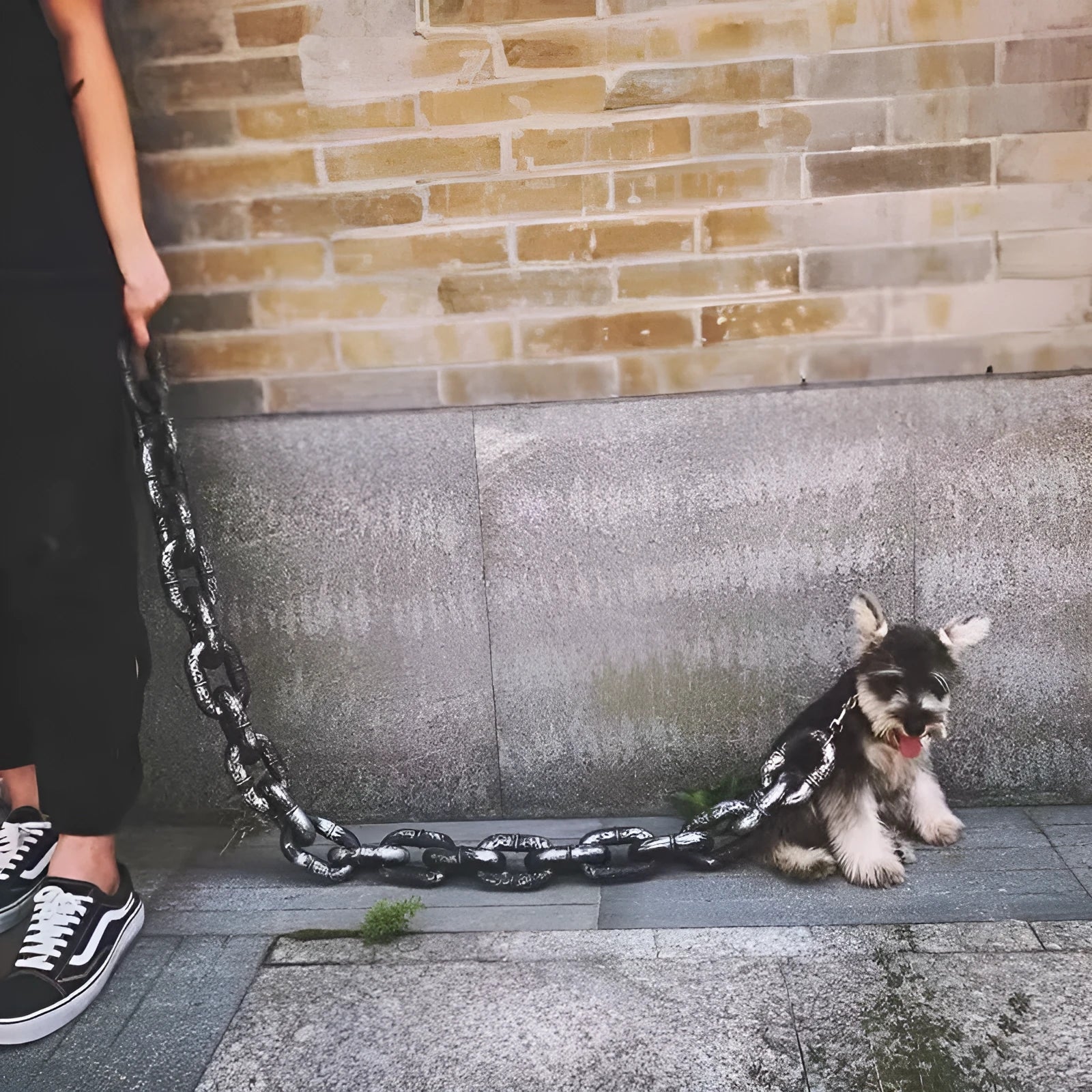 Dog leash simulation prop rope in bronze, antique silver or black colour for video content creation