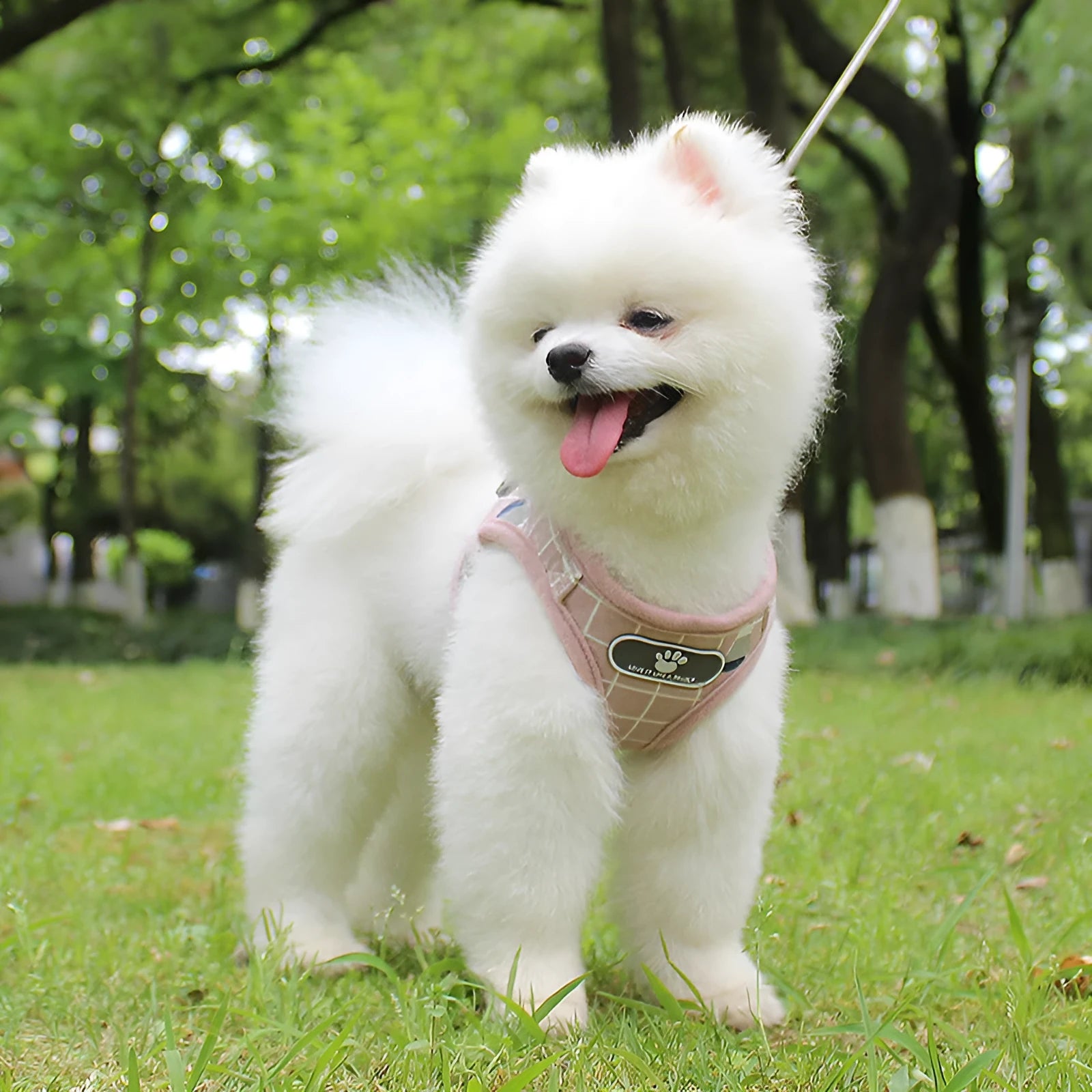 Reflective dog leash traction belt with strips made of polyester in grey colour