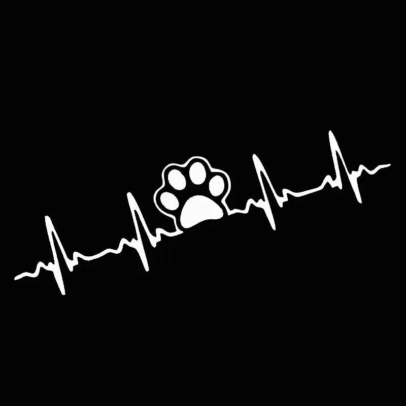 Car ECG creative heartbeat decorative bumper sticker in colour gradient design