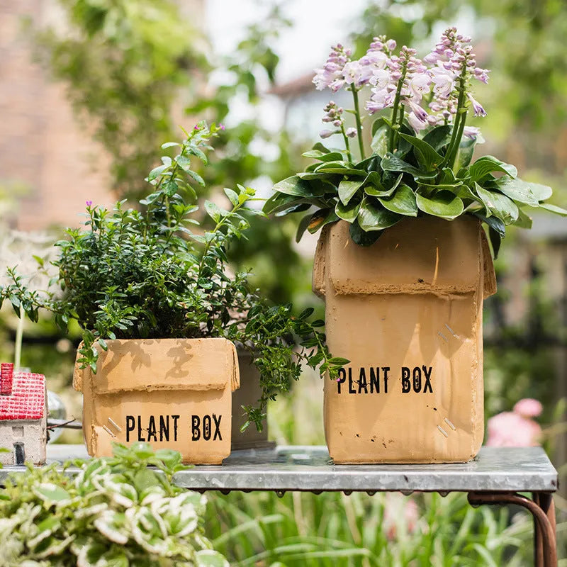 Cement paper box style flowerpot with bottom drainage holes for indoor planting