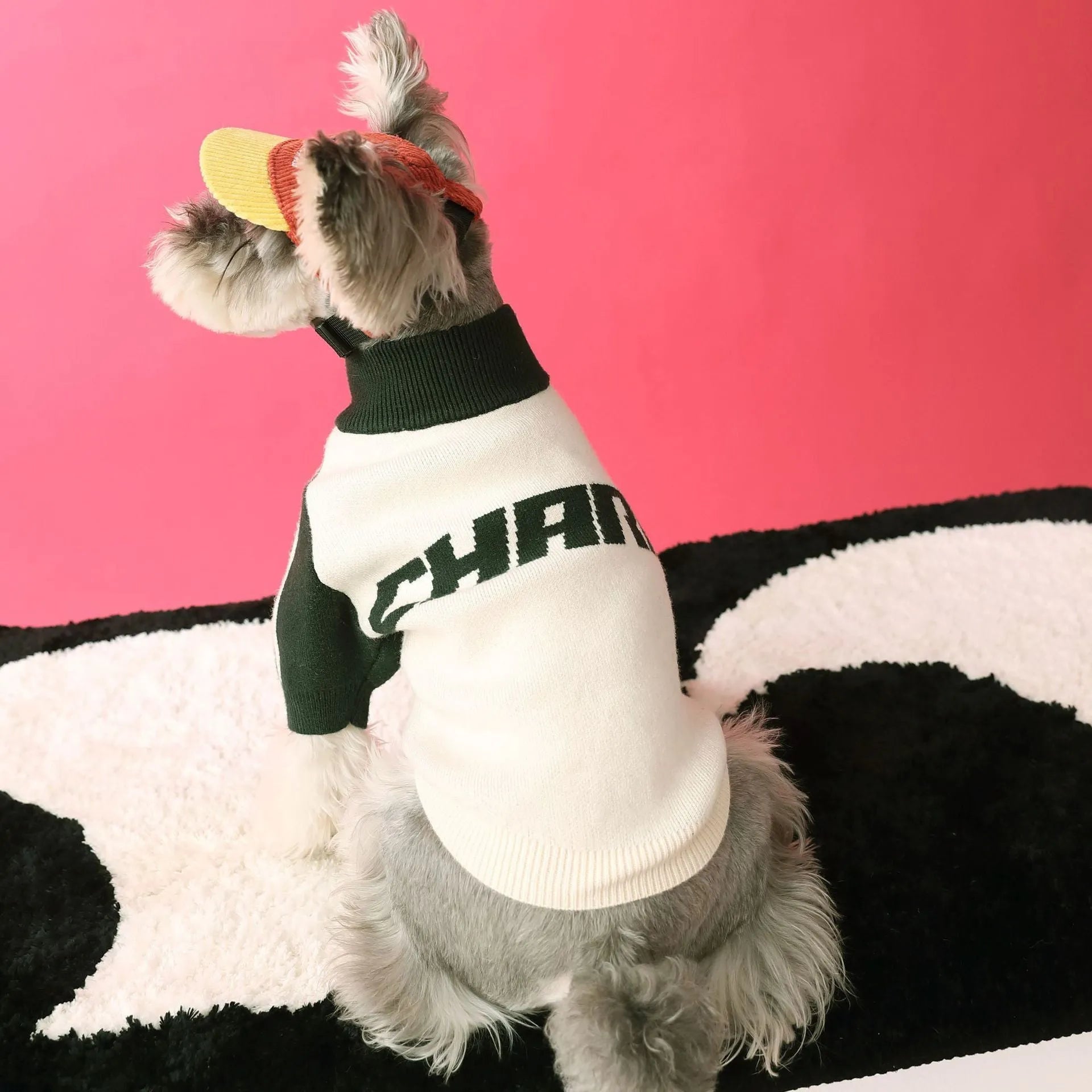 Red wool sports cardigan for medium-sized dog on mannequin showing casual pet clothing design
