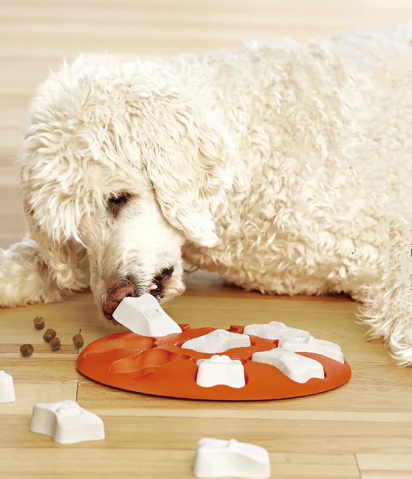 Orange and white plastic leak food toy for pets, interactive treat dispenser for dogs and cats