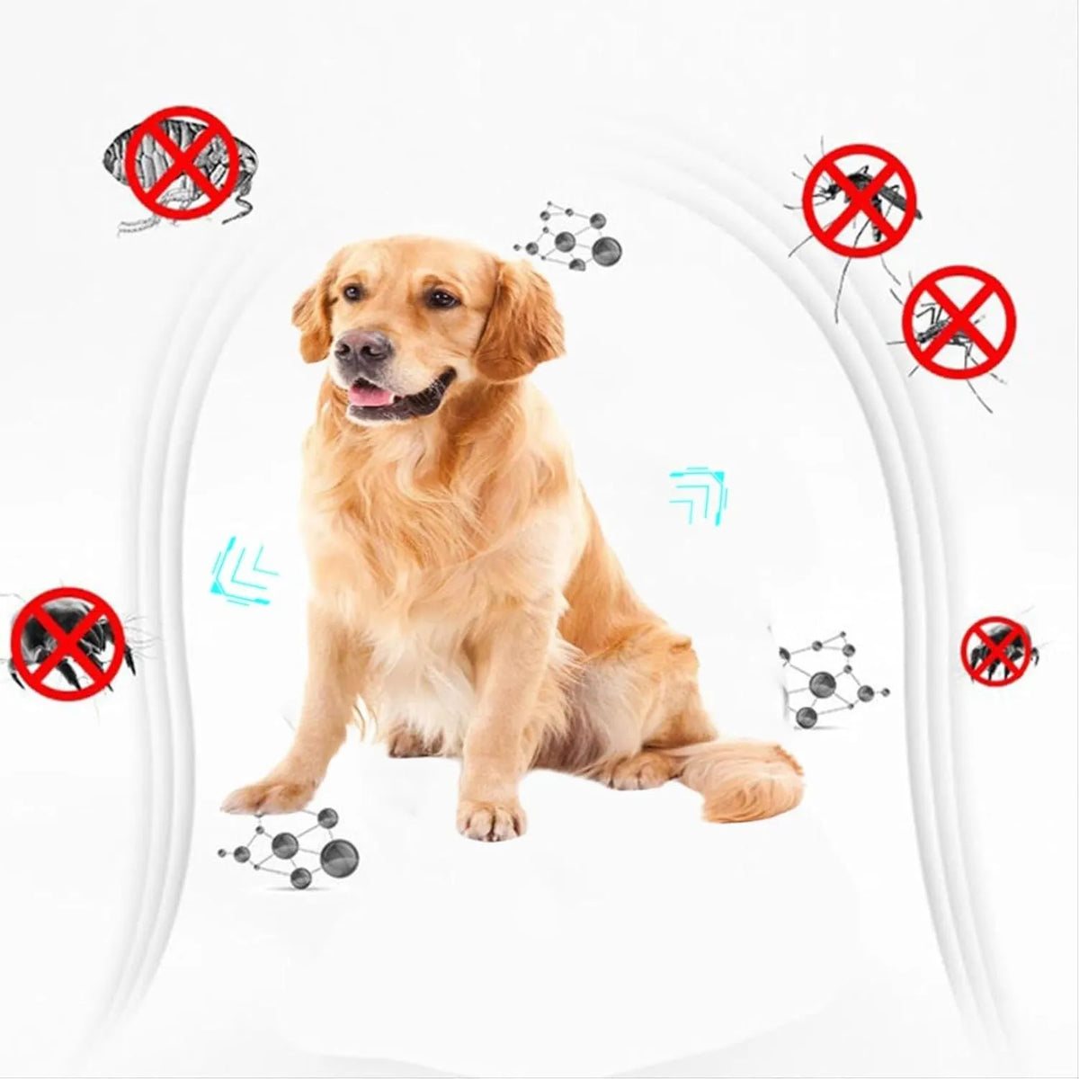 Double-sided plastic flea comb for pets measuring 5cm with dense teeth for flea removal and facial grooming