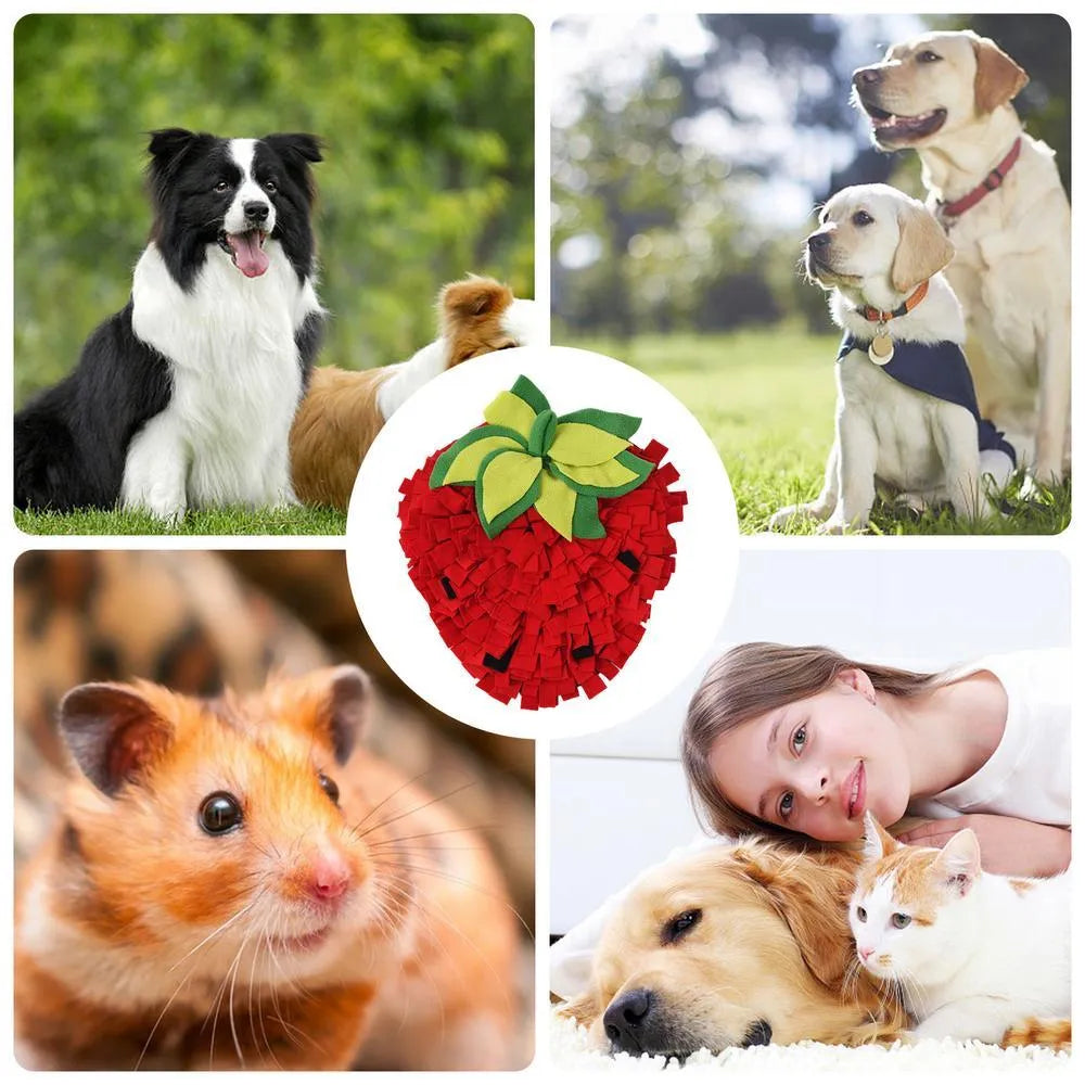 Red and green strawberry-shaped pet sniffing mat for slow feeding dogs and cats