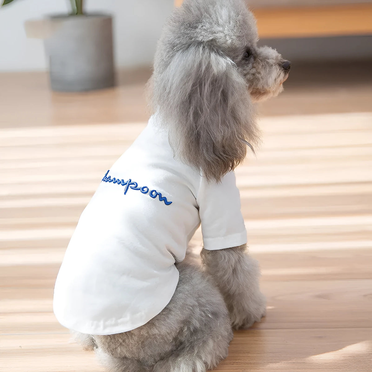 Cloth dog sweater for small to large breeds in black colour