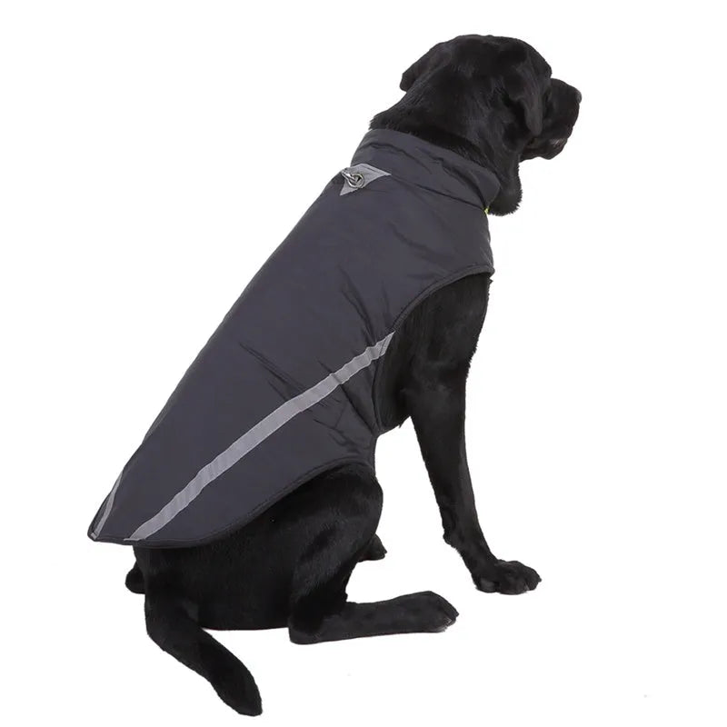 Two-legged cotton dog jacket in black, blue, or purple, sizes S to 2XL with size chart for length, bust, and neck