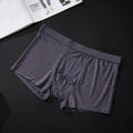Silky mesh boxer briefs with wide brim belt in black blue grey coffee, modal crotch lining, sizes L XL 2XL 3XL