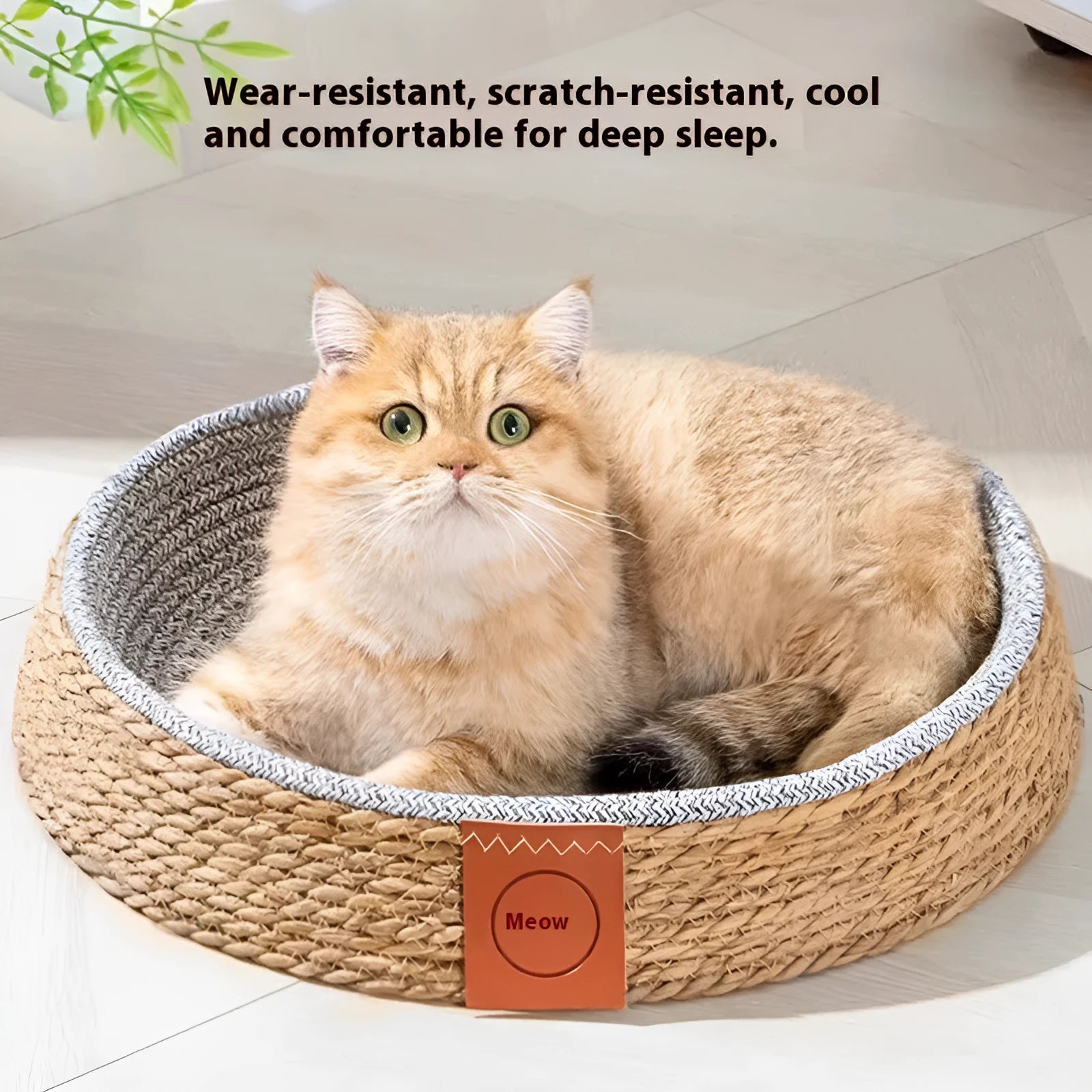 Rattan woven cat nest pet bed in size L with breathable construction