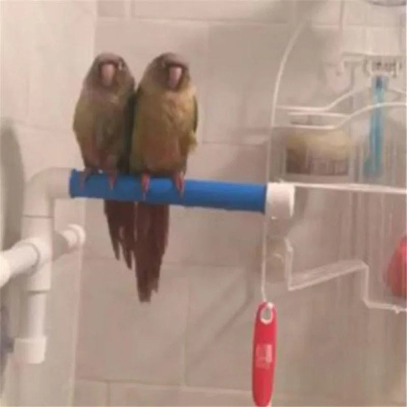 White plastic parrot bath shower stand with three suction cups folded flat on table showing 22x18x24cm dimensions