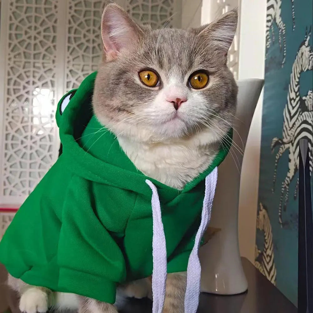 Green frog pattern hoodie costume on a small dog, showing hood and four-legs design.