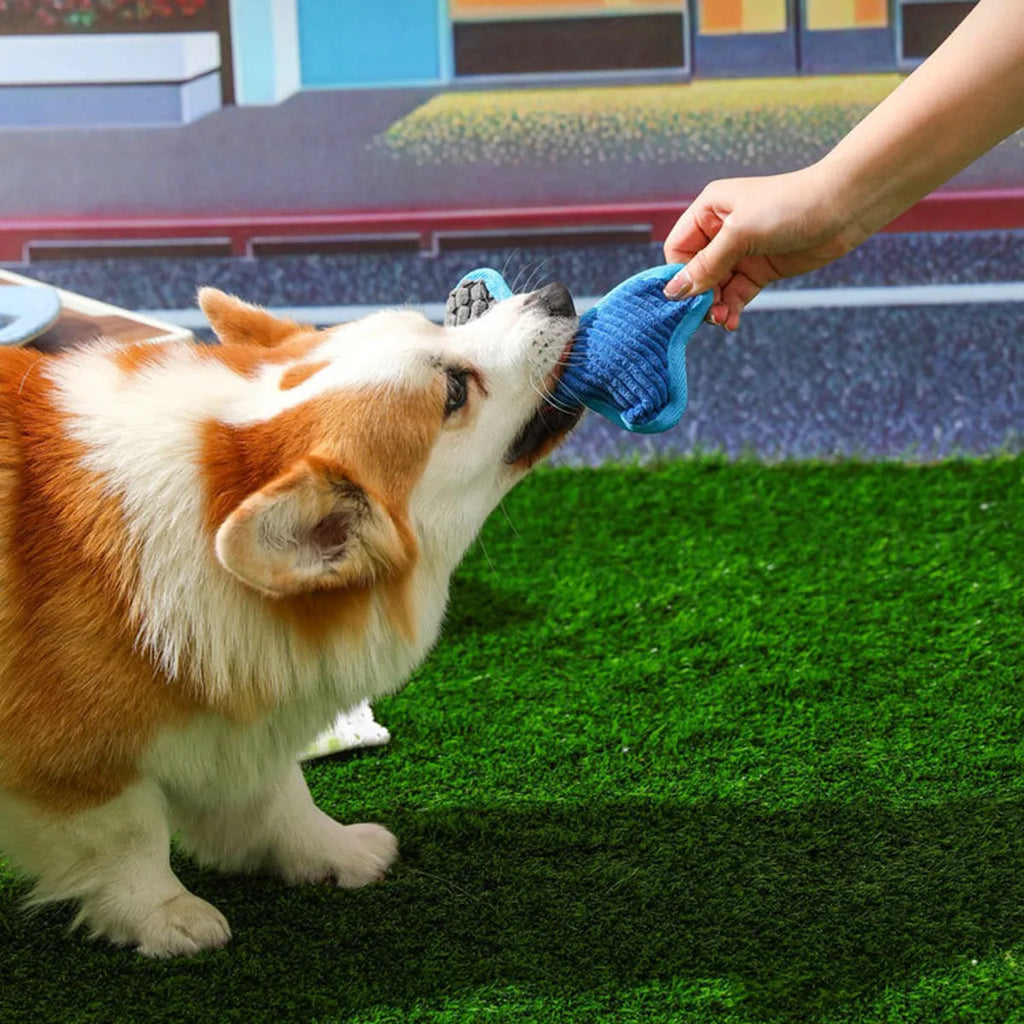 Blue teddy dog toy with a bone model and corn fleece lining for bite-resistant play.