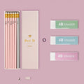 Mixed colour HB pencil set in display box with purple glitter and pale pink pencils