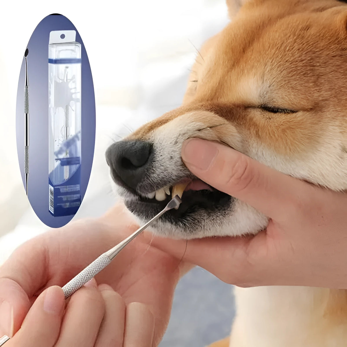 White pet beauty pen with stainless steel tip for cleaning dog and cat teeth and removing tartar