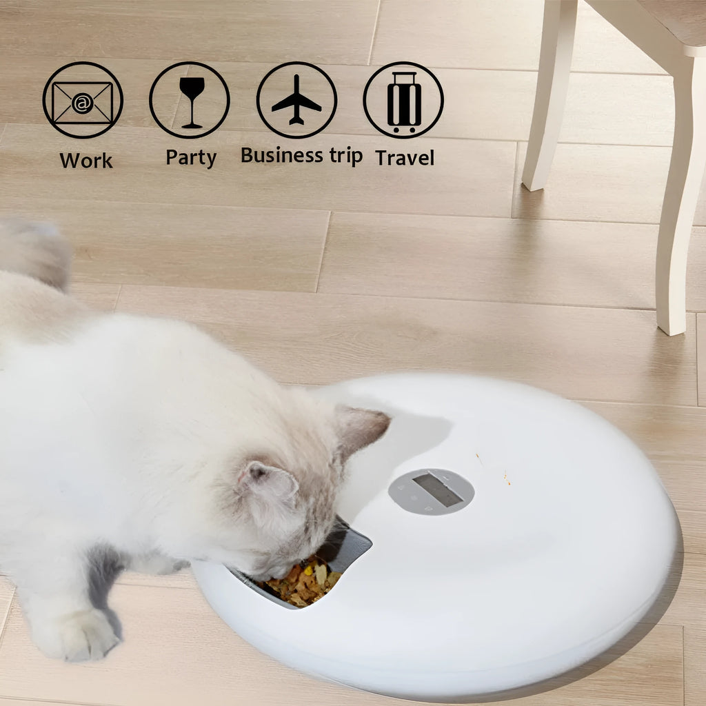 White six meal automatic pet feeder with 80ml cells, 320x320x82mm, USB or battery power