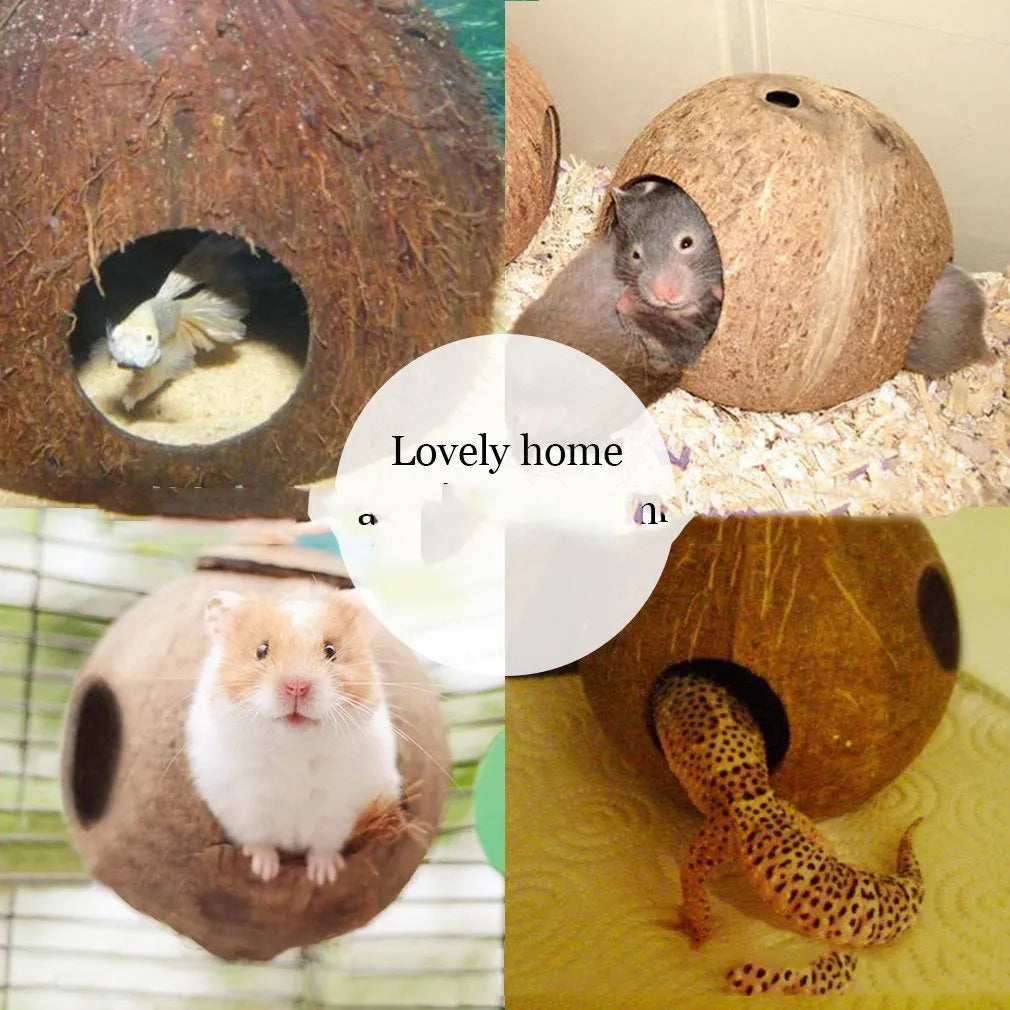 Brown coconut shell bird nest feeder, small hanging bird house, 12-16cm diameter, about 30cm height