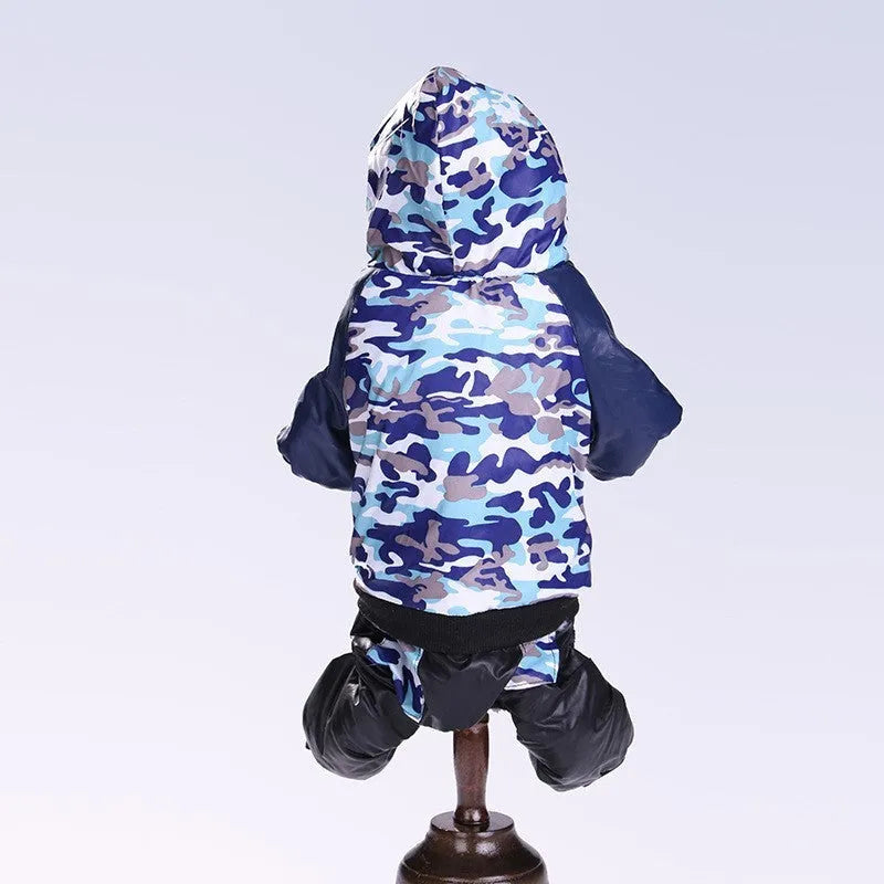 Camouflage pet coat on a small dog, hooded design in green pattern, autumn winter outdoor wear