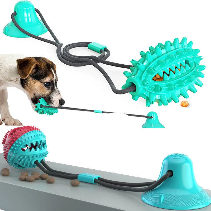 TPR sucker dog toy cactus with suction cup, tug of war molar stick and leaking ball, green lake blue yellow