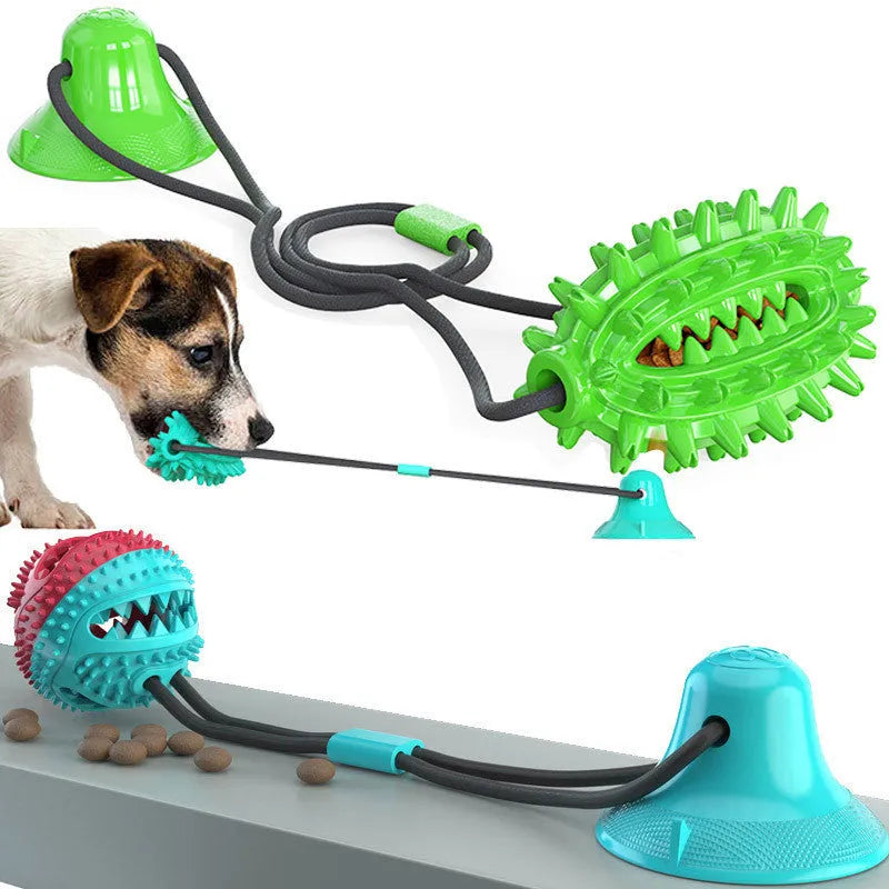 TPR sucker dog toy cactus with suction cup, tug of war molar stick and leaking ball, green lake blue yellow