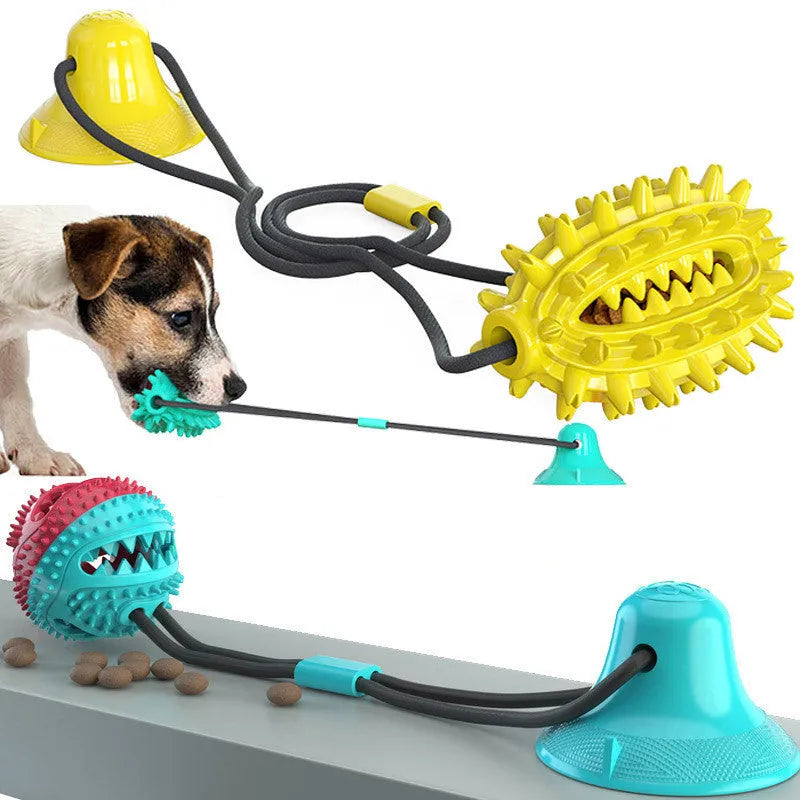 TPR sucker dog toy cactus with suction cup, tug of war molar stick and leaking ball, green lake blue yellow
