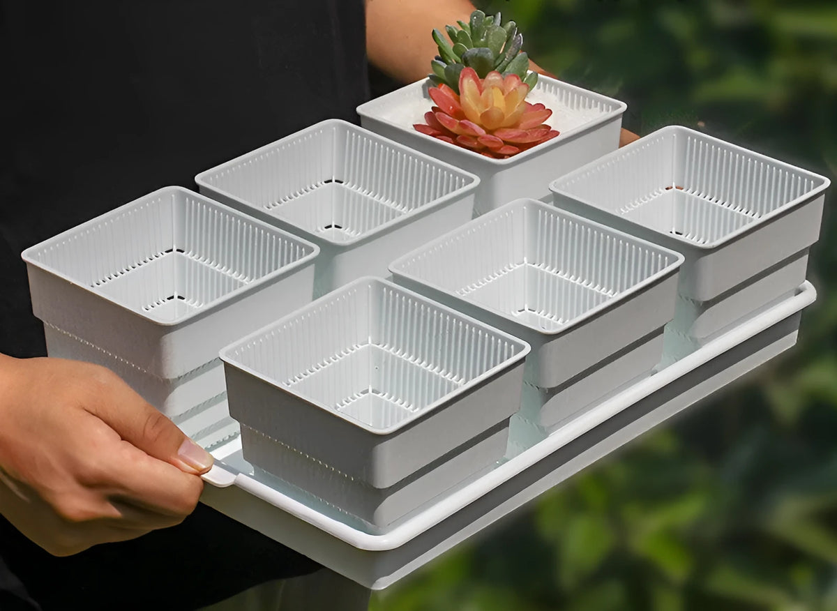 Meishi controlled root flower pot set with black and white resin pots arranged on matching tray