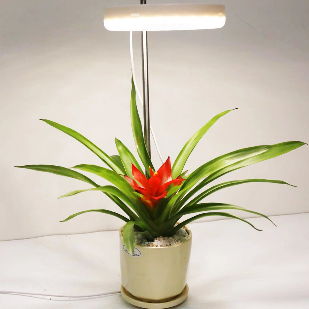 A compact, white, desk-mounted LED plant growth lamp with a slim 160mm long PC plastic body.