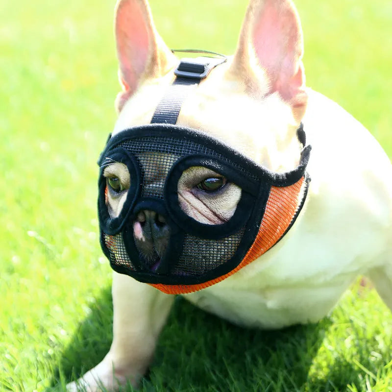 Hoopet breathable mesh dog muzzle for flat snout French Bulldog in black adjustable size