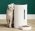 White ABS smart pet feeder with 4.6L granary and timing function, 38.3x22.3x22.3cm