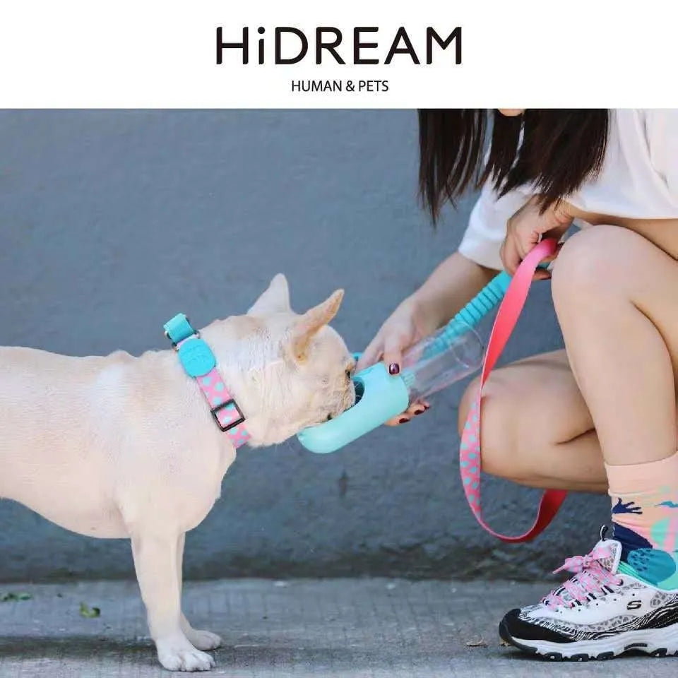 Nylon pet traction collar in Sunrise, Bobby, Hill mark or Florida, shown in S, M or L size