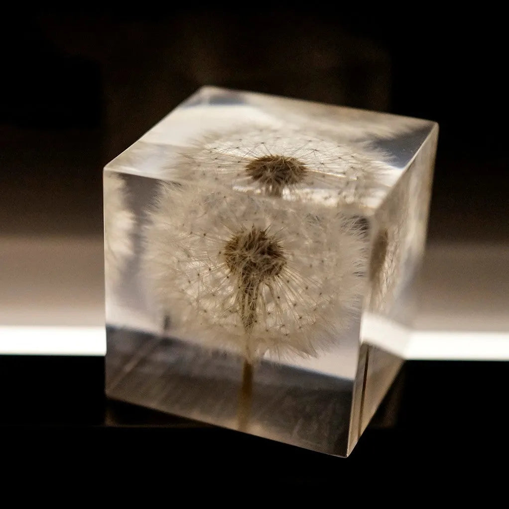 Clear cubic resin block with a dandelion flower inside, on a wooden box next to a USB charging base.