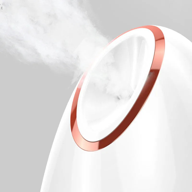 Nano Thermal Spray Moisturizing Face Steamer in white with single gear control and 280W power