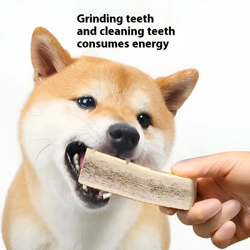 Natural antler dog chew in three sizes – small 36g, medium 76g, large 126g for bite resistant teeth cleaning