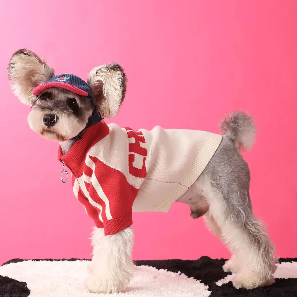 Red wool sports cardigan for medium-sized dog on mannequin showing casual pet clothing design