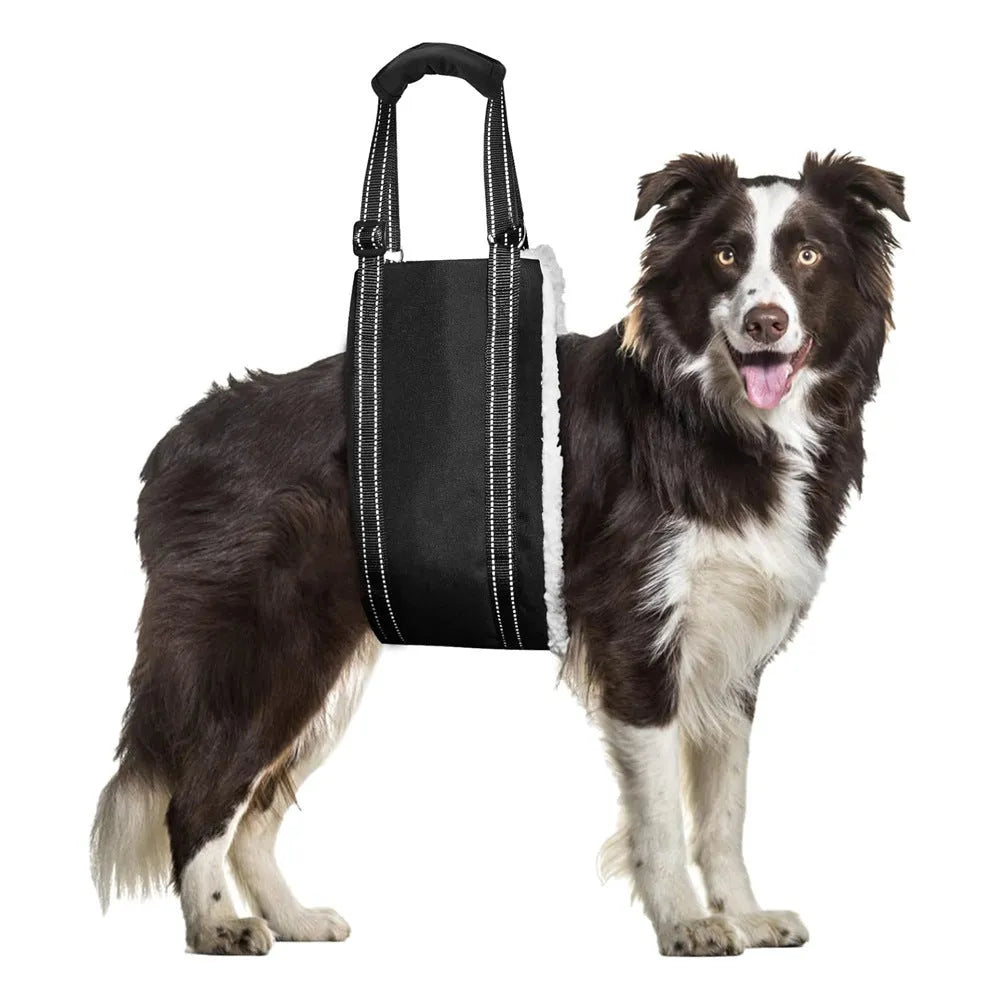Black teddy plush adjustable dog rehabilitation training belt in sizes S M L XL with auxiliary tape