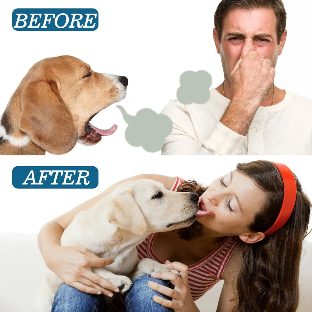 Pet oral spray 59ml bottle with enzyme and mint formula for tartar removal and fresh breath