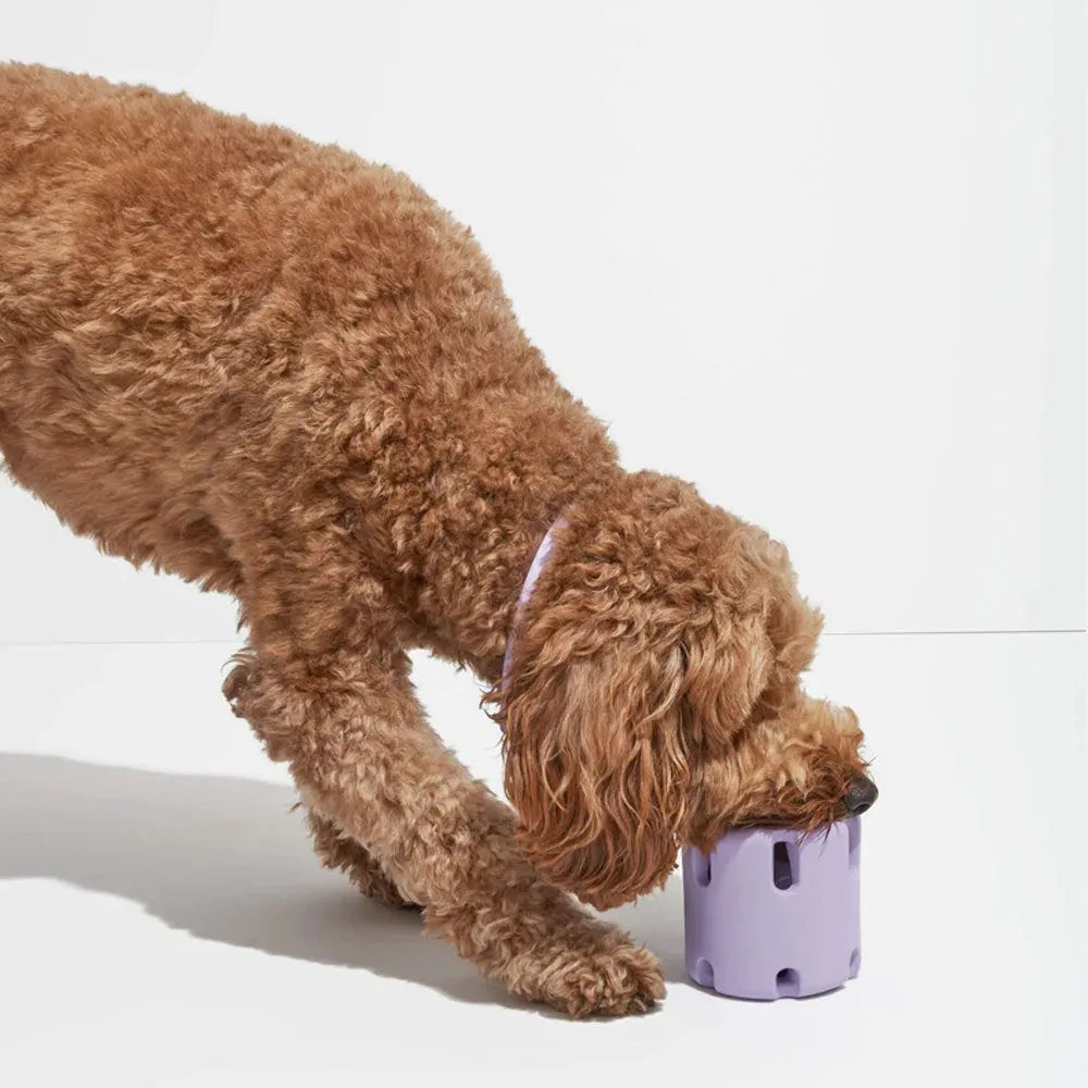 Rubber dog tennis cup toy in six colours, measuring 9.7 x 7.8 x 5cm for fetch play