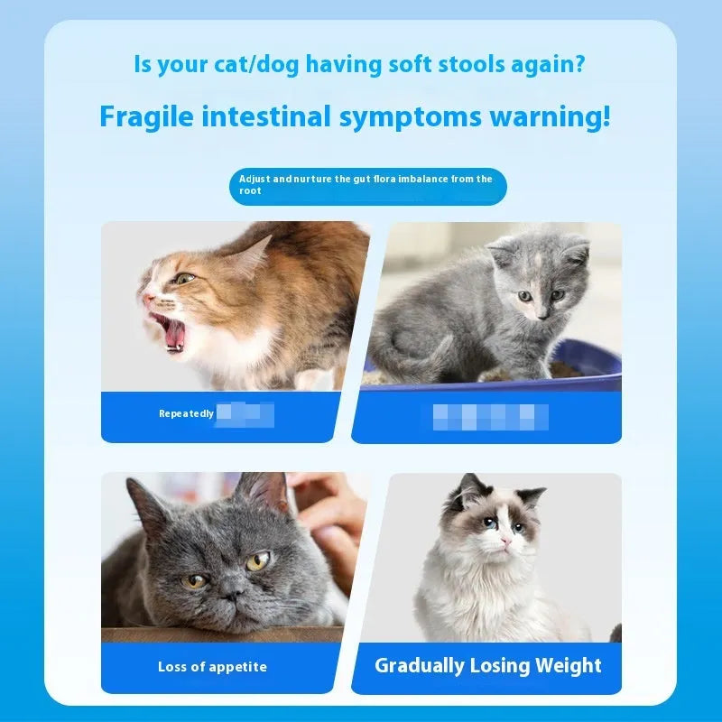Bottle of pet probiotic tablets containing 180 tablets with 12 billion CFU per tablet for cats and dogs