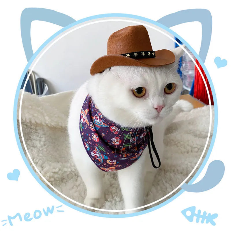 British cat hat costume accessory with decorative bands in brown, pink and black colour options