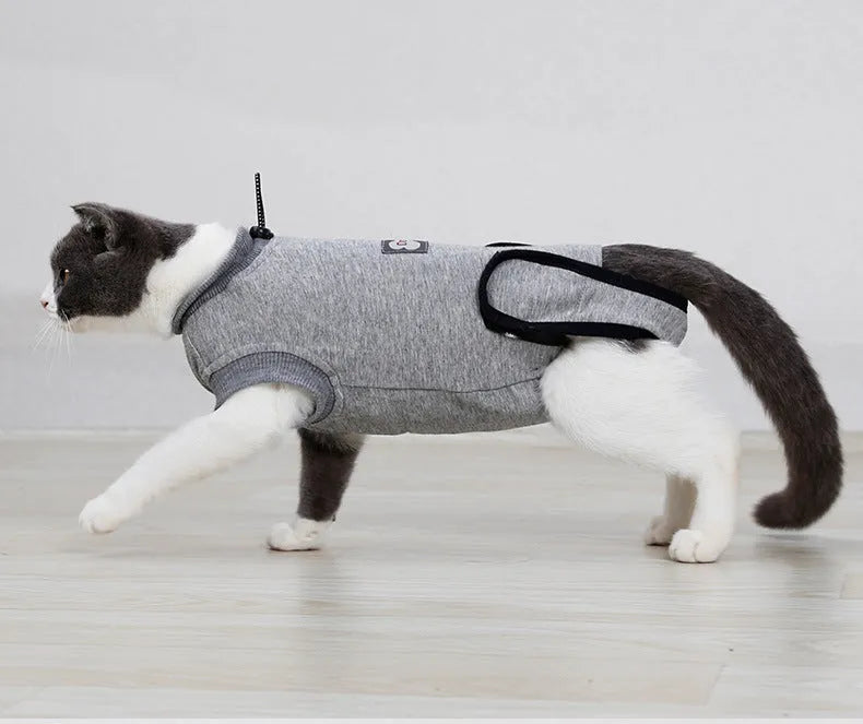 Pure cotton cat recovery suit for post-surgery, anti-lick design, sizes XS S M.