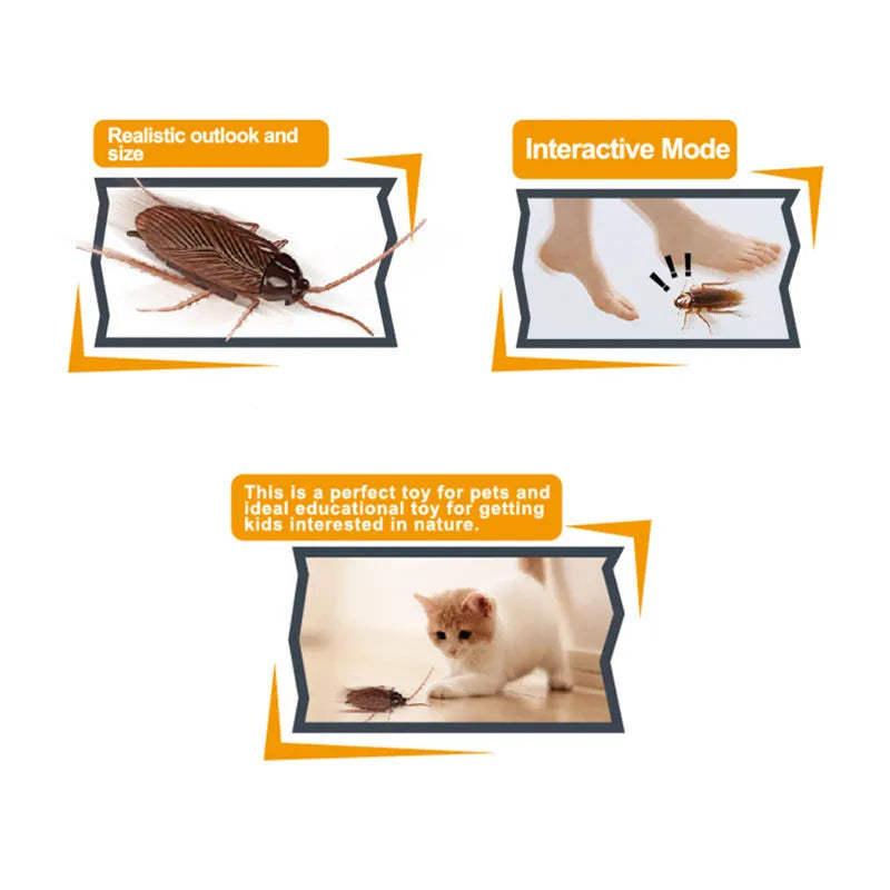 Electric vibration pet toy showing cockroach, dragonfly, tarantula and mouse designs