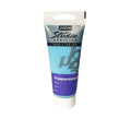 Luminous acrylic paint 100ml in five colours with paint brushes and oil painting knife set