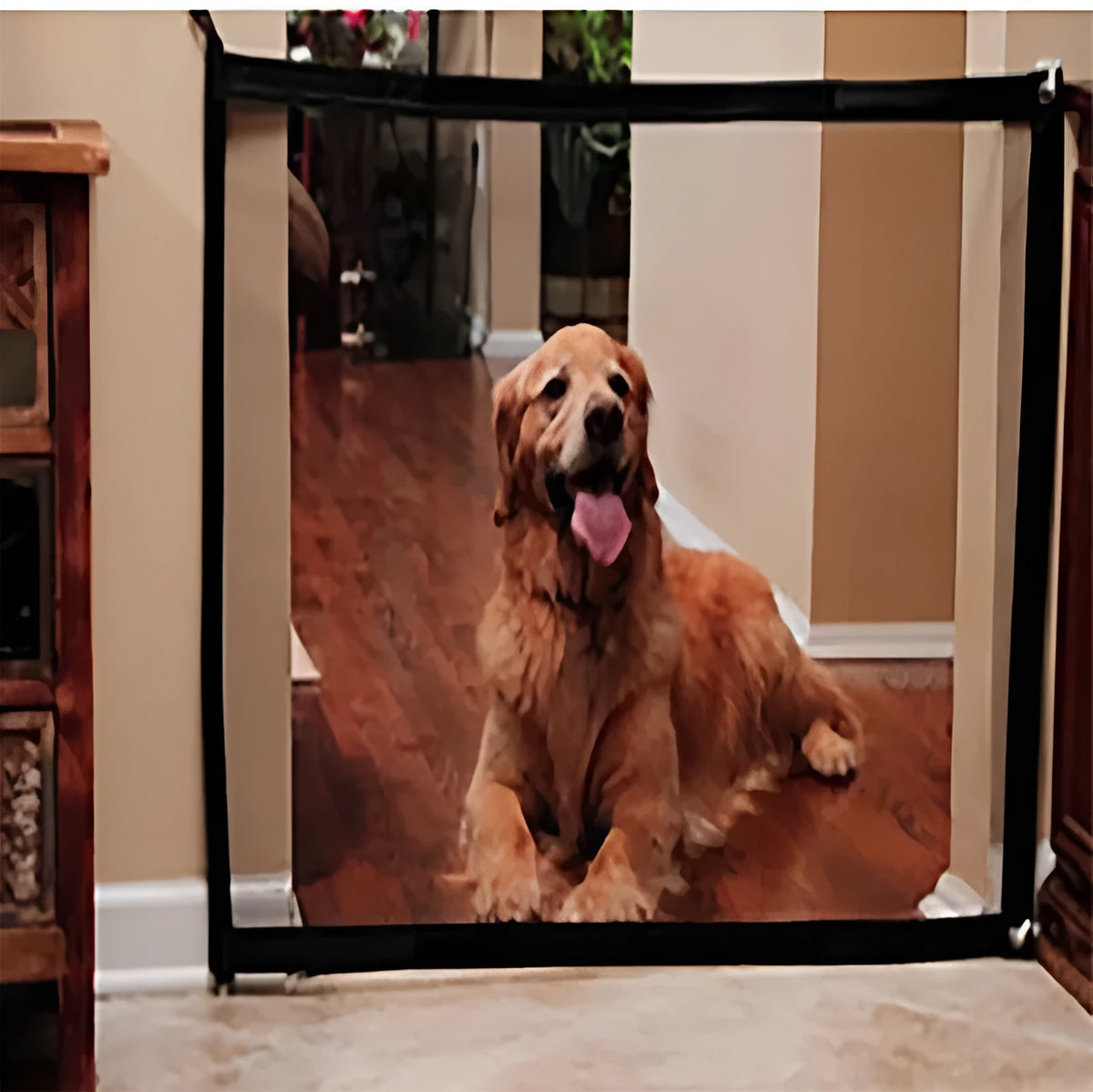 Portable folding pet separation barrier with woven nylon mesh and stainless steel poles, 74cm tall, 182cm wide, black or yellow.