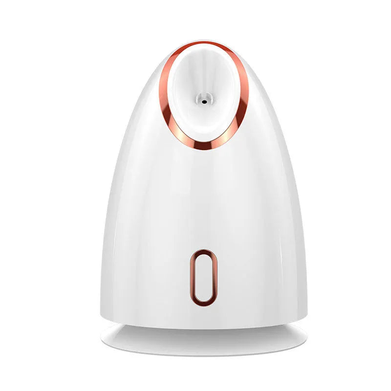 Nano Thermal Spray Moisturizing Face Steamer in white with single gear control and 280W power