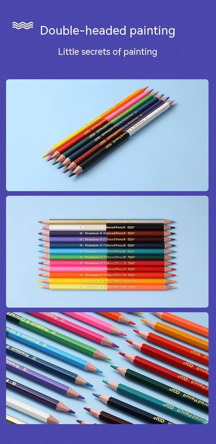 Set of wooden double-tipped colouring pencils in a case, showing the two colour leads on each pencil.