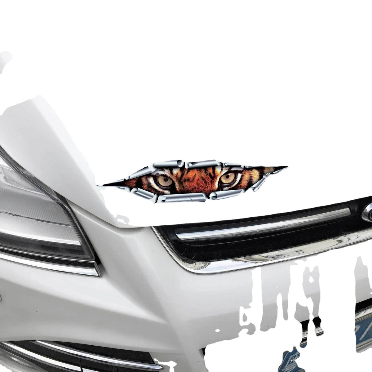 3D tiger eye or eagle eye pattern car sticker on vehicle door